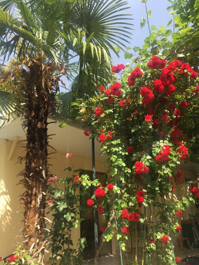 House 41 Bed & Breakfast Tbilisi Bagian luar foto